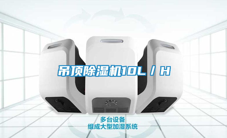 吊顶除湿机10L／H