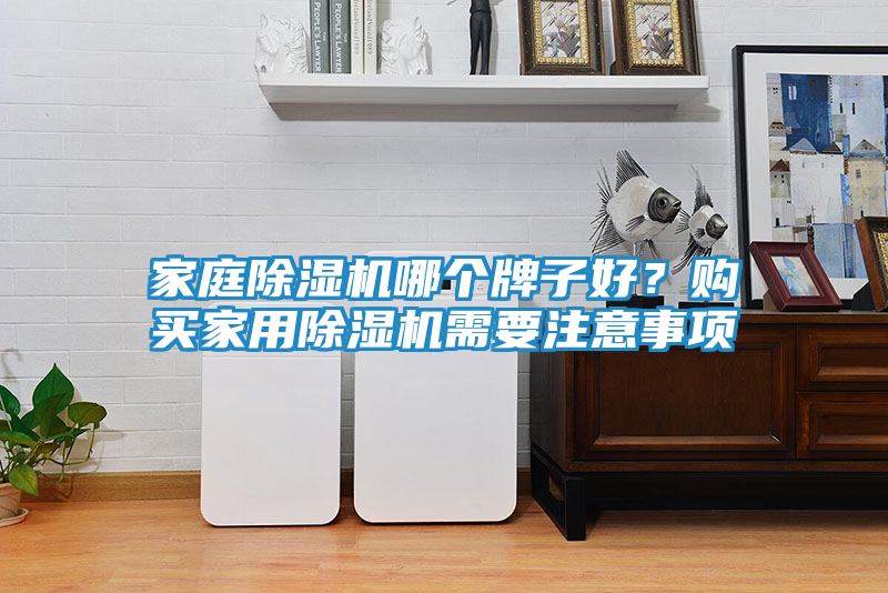 家庭除湿机哪个牌子好？购买家用除湿机需要注意事项