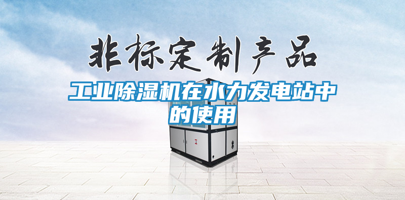 工业除湿机在水力发电站中的使用
