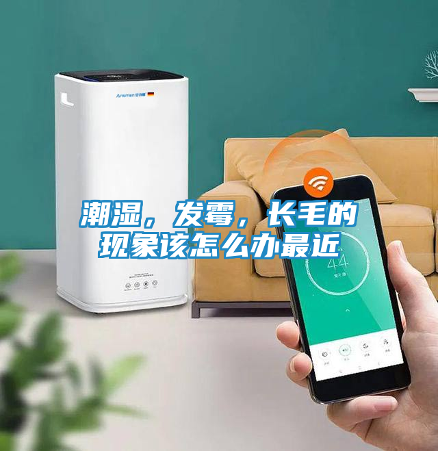 潮湿，发霉，长毛的现象该怎么办最近
