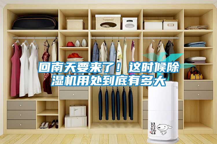 回南天要来了！这时候除湿机用处到底有多大