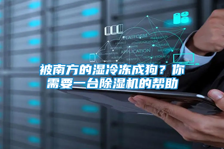 被南方的湿冷冻成狗?你需要一台除湿机的帮助