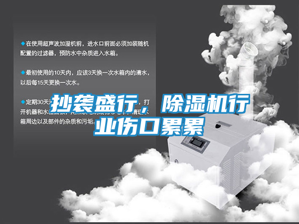 抄袭盛行，除湿机行业伤口累累