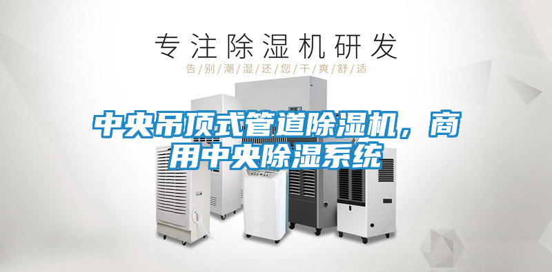 中央吊顶式管道除湿机，商用中央除湿系统