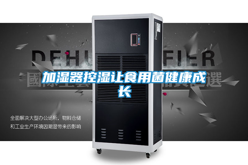 加湿器控湿让食用菌健康成长