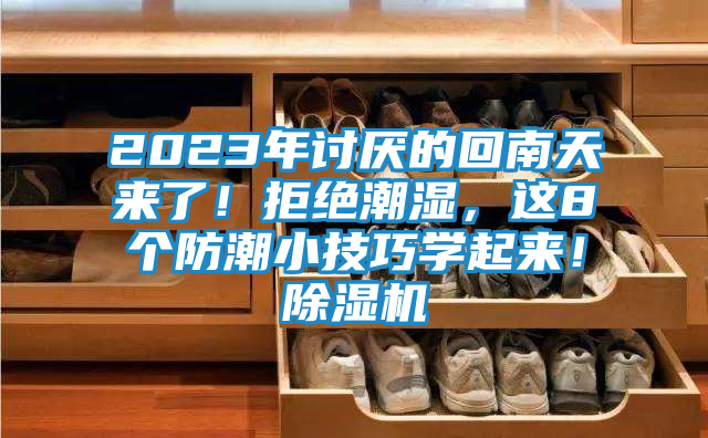 2023年讨厌的回南天来了!拒绝潮湿,这8个防潮小技巧学起来!除湿机