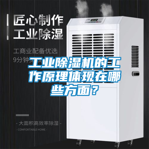 工业除湿机的工作原理体现在哪些方面？