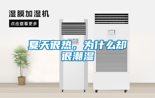 夏天很热，为什么却很潮湿