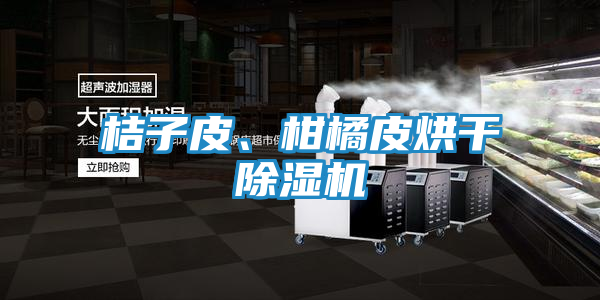 桔子皮、柑橘皮烘干除湿机