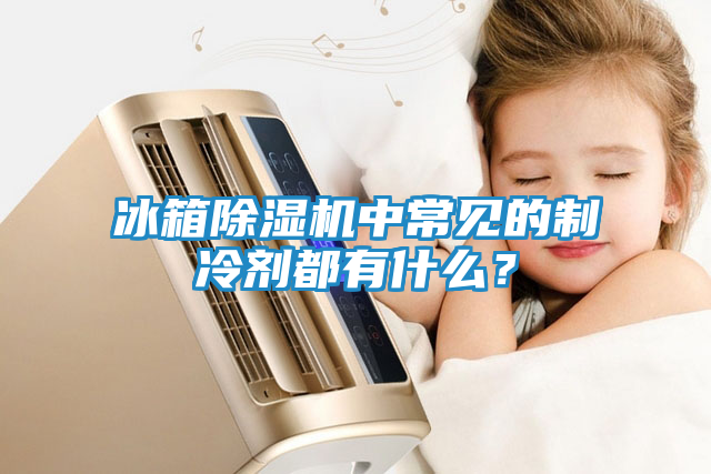 冰箱除湿机中常见的制冷剂都有什么？