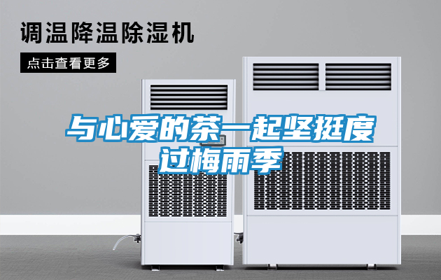 与心爱的茶一起坚挺度过梅雨季