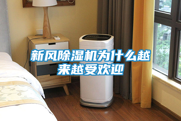 新风除湿机为什么越来越受欢迎