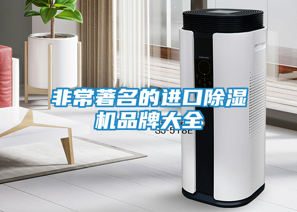 非常著名的进口除湿机品牌大全