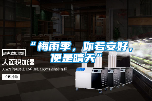 “梅雨季，你若安好，便是晴天”