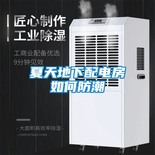 夏天地下配电房如何防潮