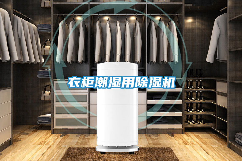 衣柜潮湿用除湿机