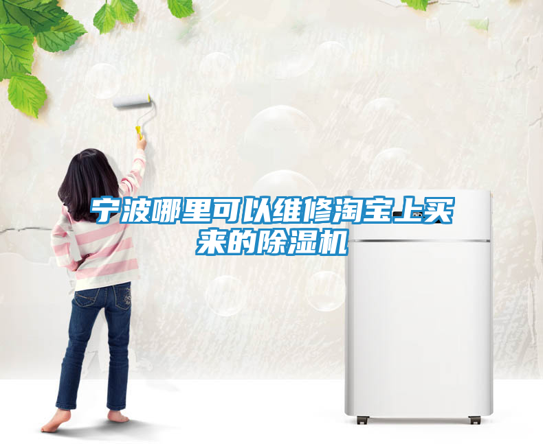 宁波哪里可以维修淘宝上买来的除湿机