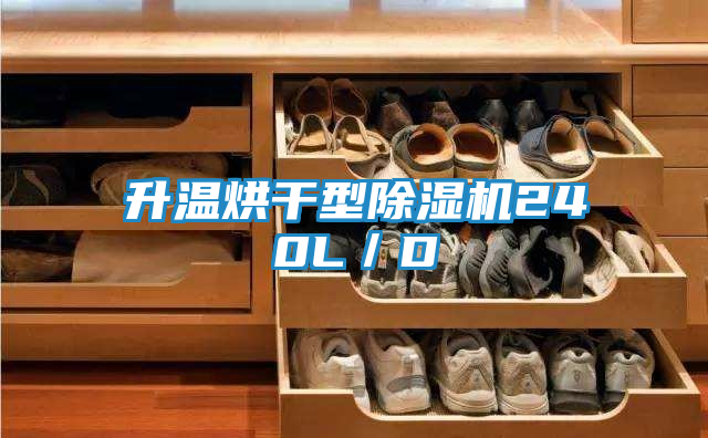 升温烘干型除湿机240L／D