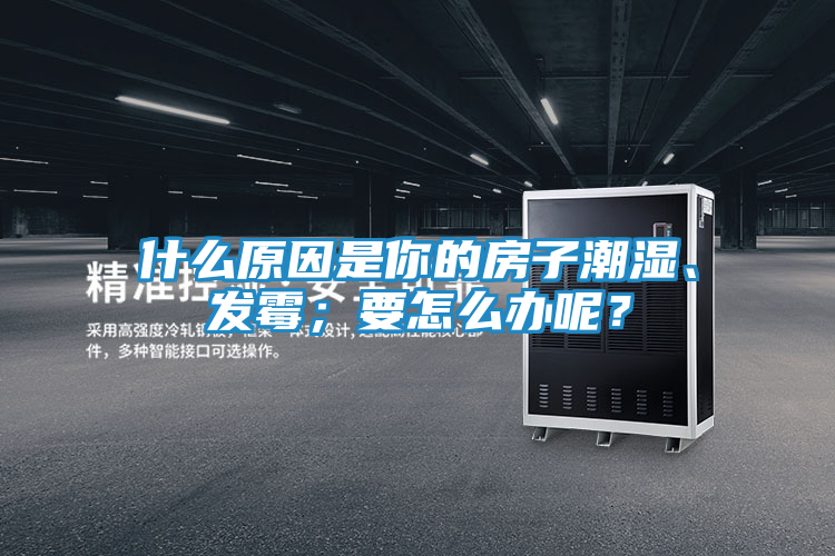 什么原因是你的房子潮湿、发霉；要怎么办呢？