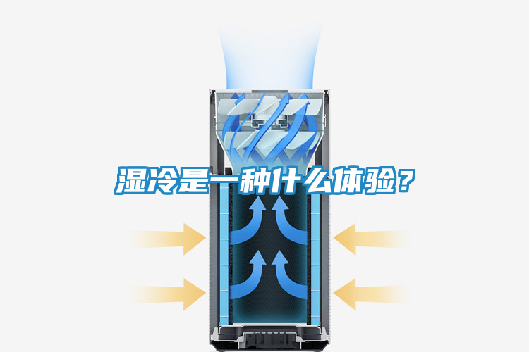 湿冷是一种什么体验？