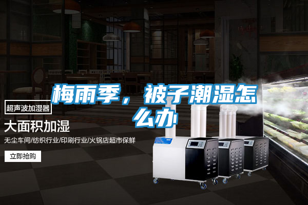 梅雨季,被子潮湿怎么办