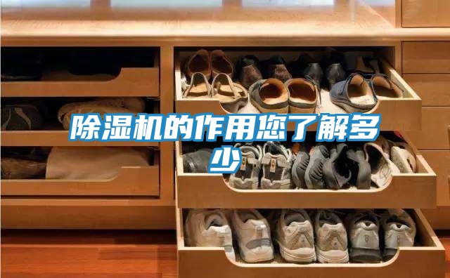 除湿机的作用您了解多少