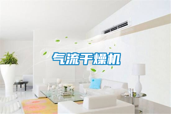 气流干燥机