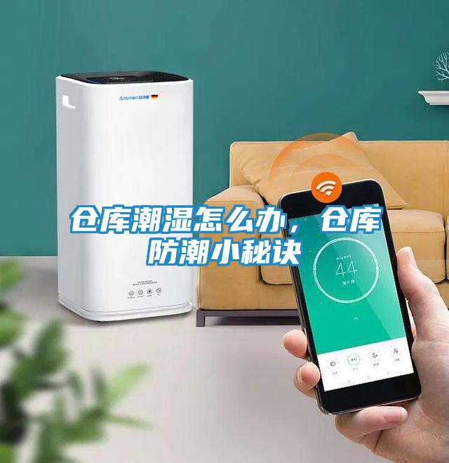 仓库潮湿怎么办，仓库防潮小秘诀