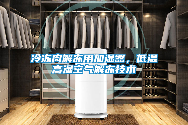 冷冻肉解冻用加湿器，低温高湿空气解冻技术