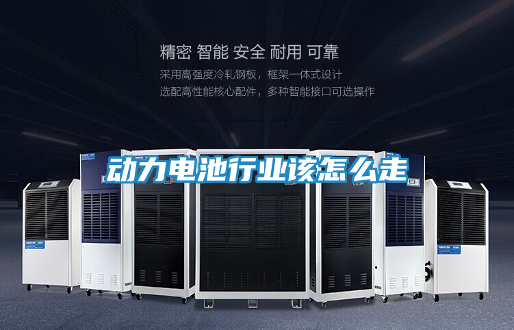 动力电池行业该怎么走