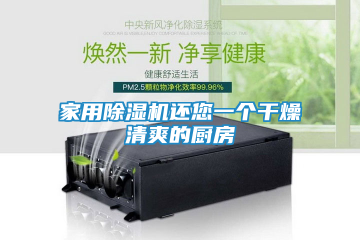 家用除湿机还您一个干燥清爽的厨房