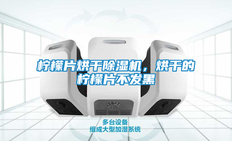 柠檬片烘干除湿机，烘干的柠檬片不发黑