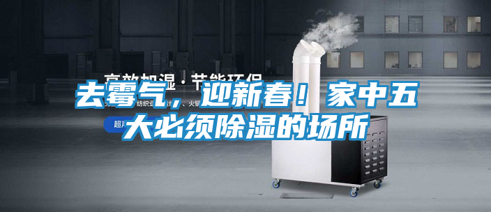 去霉气，迎新春！家中五大必须除湿的场所