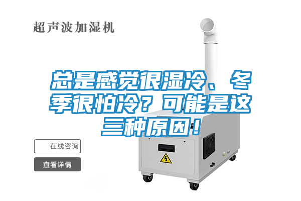 总是感觉很湿冷、冬季很怕冷？可能是这三种原因！