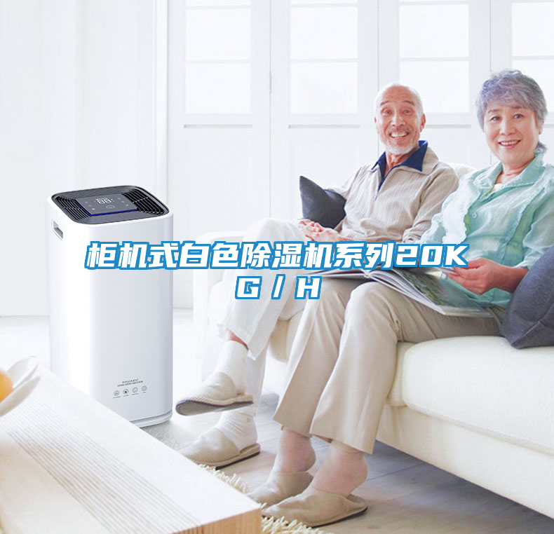 柜机式白色除湿机系列20KG／H