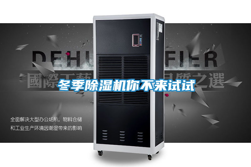 冬季除湿机你不来试试