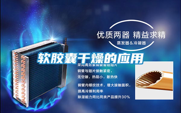 软胶囊干燥的应用