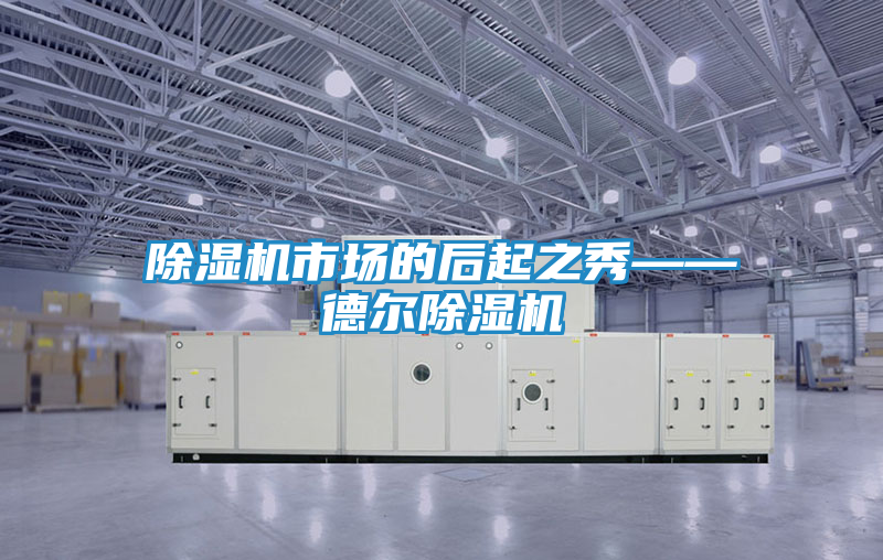 除湿机市场的后起之秀——德尔除湿机