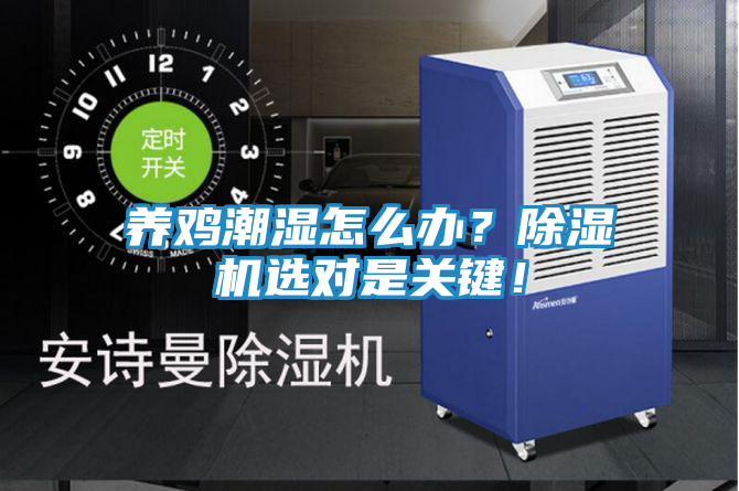 养鸡潮湿怎么办？除湿机选对是关键！