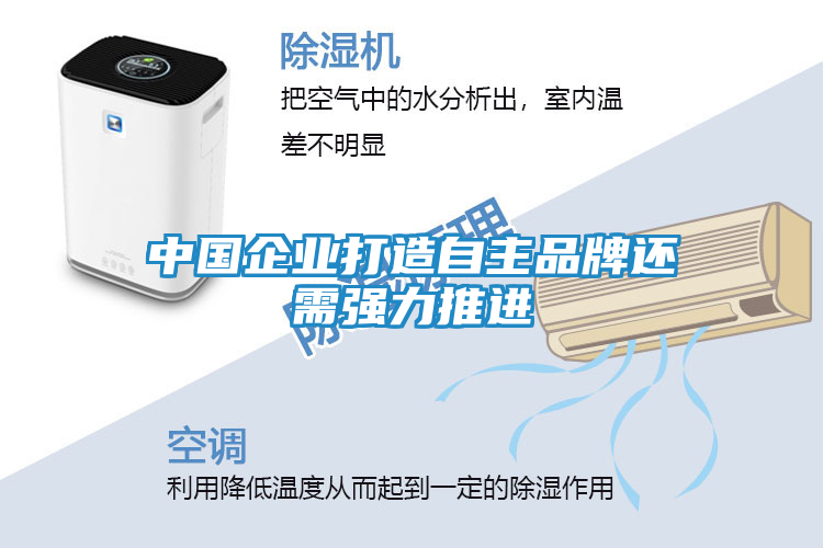 中国企业打造自主品牌还需强力推进