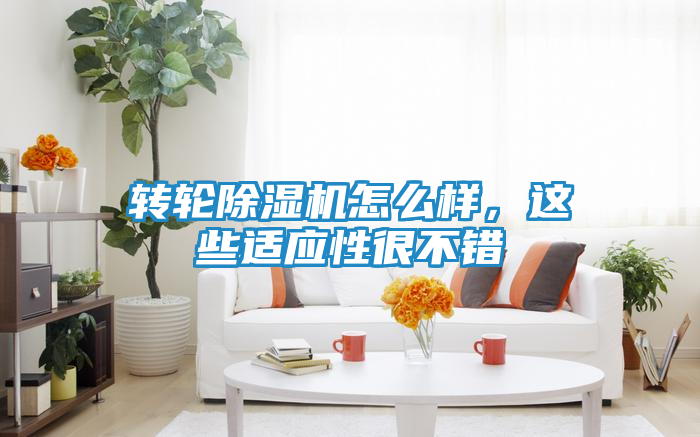 转轮除湿机怎么样，这些适应性很不错