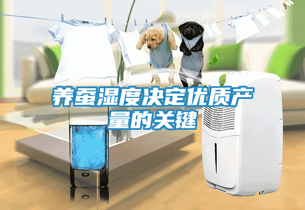 养蚕湿度决定优质产量的关键