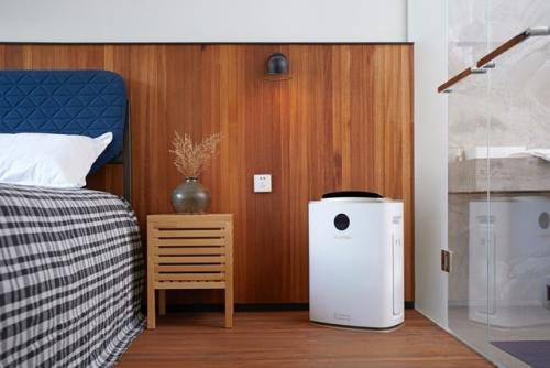 声音:当砍树的遇上植树节