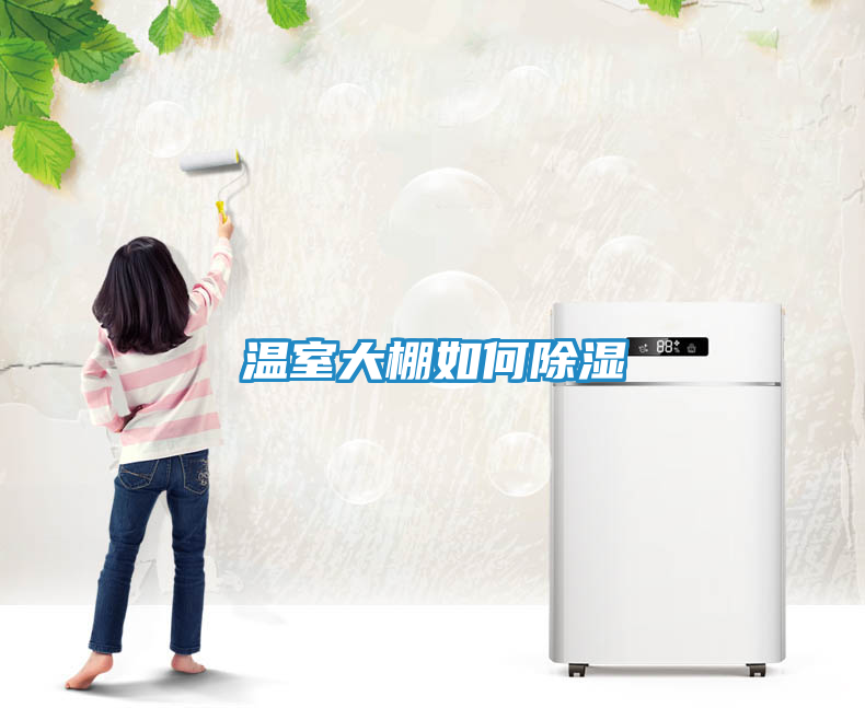 温室大棚如何除湿