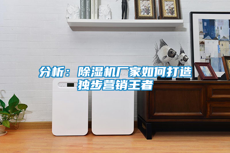 分析：除湿机厂家如何打造独步营销王者