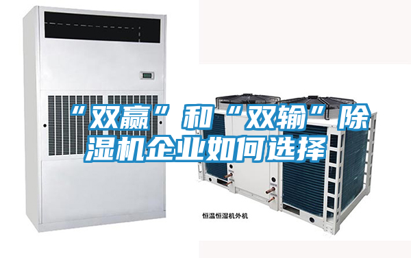 “双赢”和“双输”除湿机企业如何选择