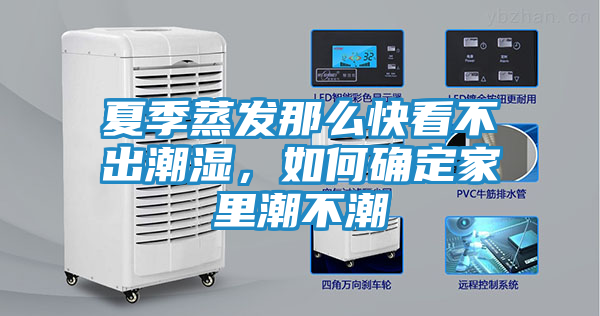 夏季蒸发那么快看不出潮湿，如何确定家里潮不潮