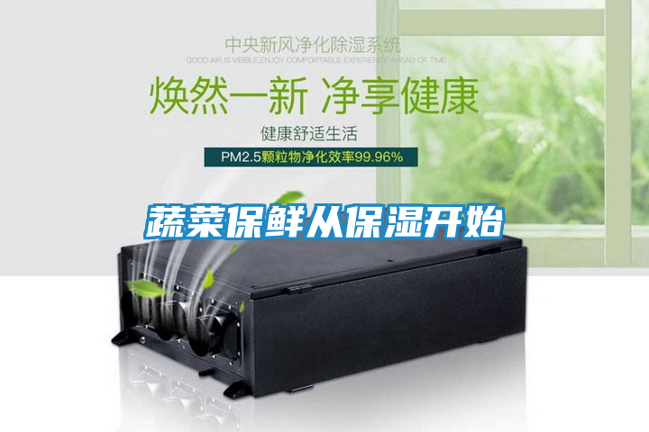 蔬菜保鲜从保湿开始
