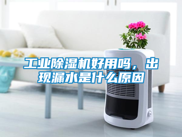 工业除湿机好用吗，出现漏水是什么原因