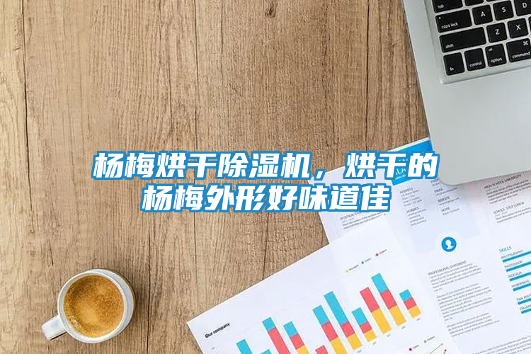 杨梅烘干除湿机，烘干的杨梅外形好味道佳